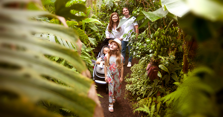 family walking through durham city botanic garden